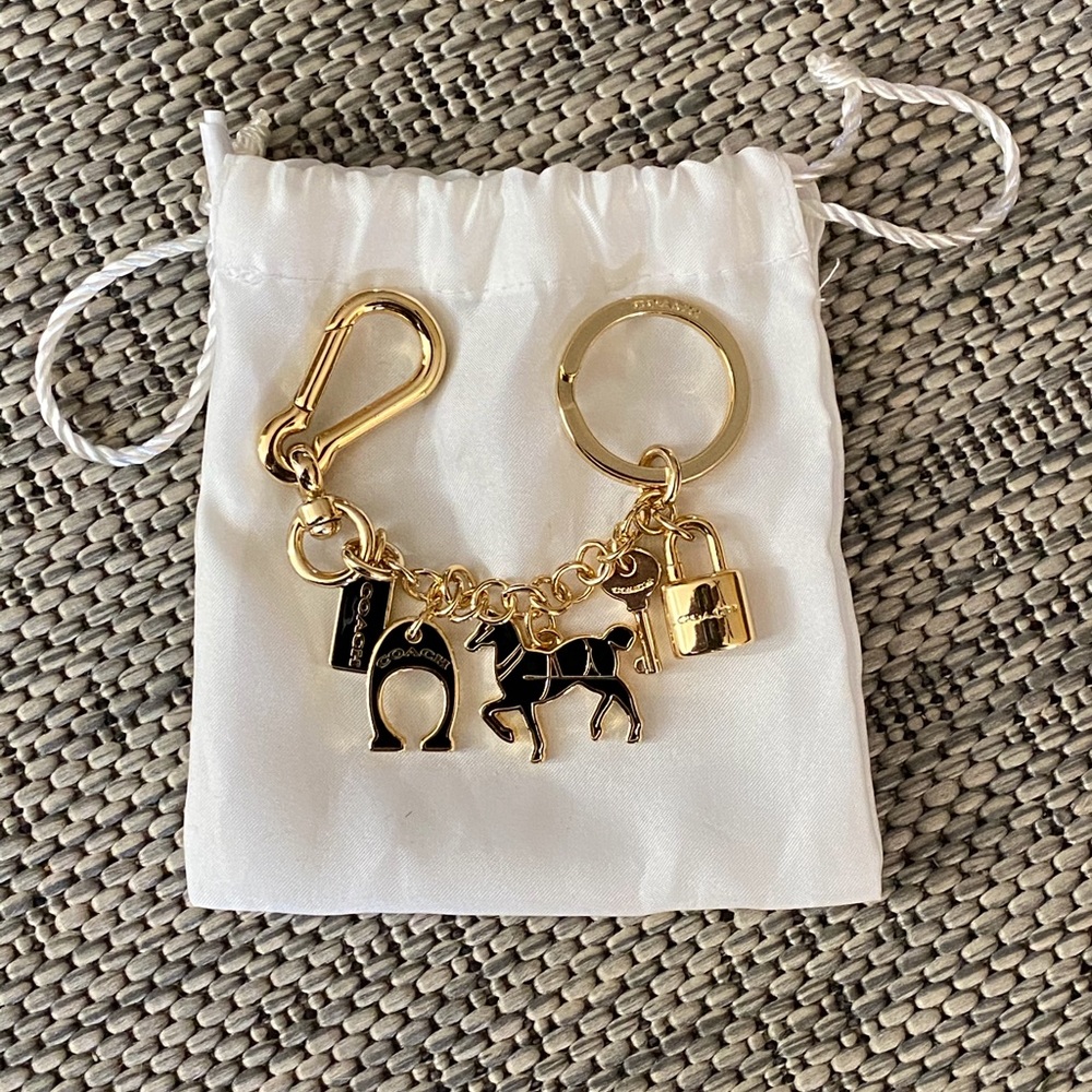 Coach ICON CHARMS LOOP KEY RING (COACH F63346)